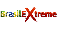 vidzflix.com