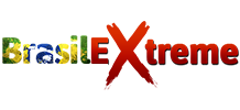 VidzFlix.com